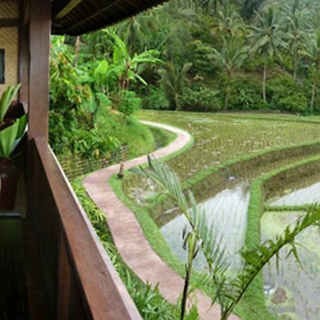 Bali Eco Stay Exterior photo